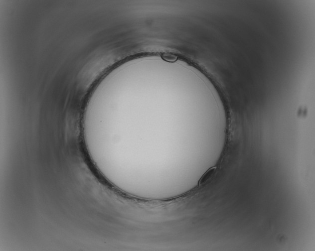 X0000111500015200907281302