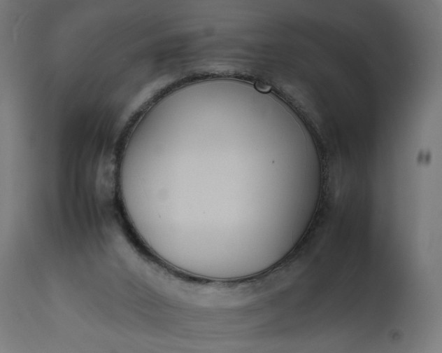 X0000111500016200907281302