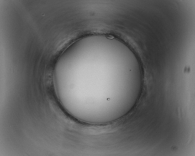 X0000111500017200907281302