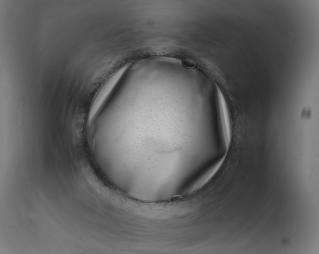 X0000111500018200907281302