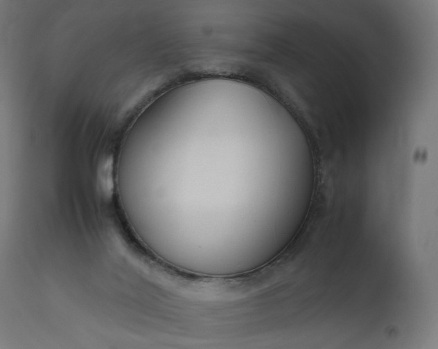 X0000111500020200907281302