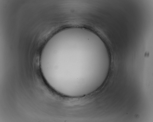 X0000111500021200907281302