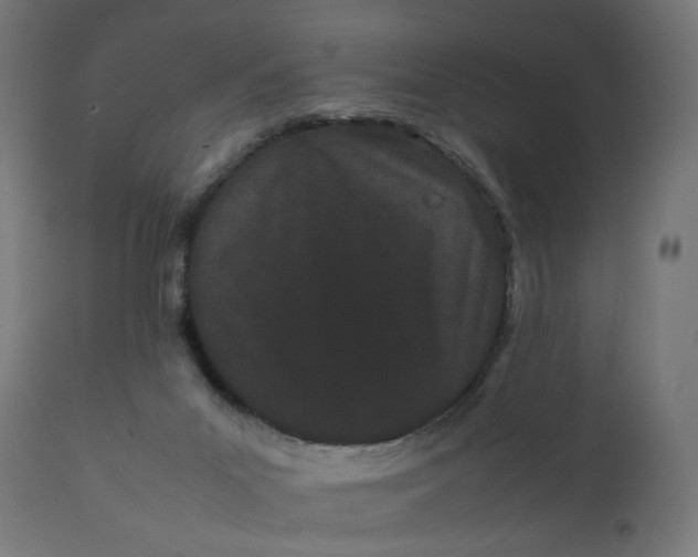 X0000111500023200907281302