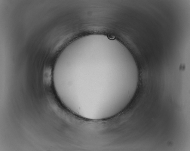 X0000111500024200907281302