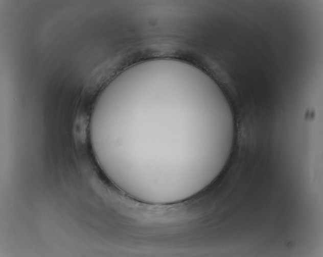 X0000111500026200907281302