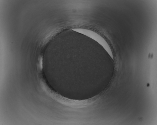 X0000111500027200907281302