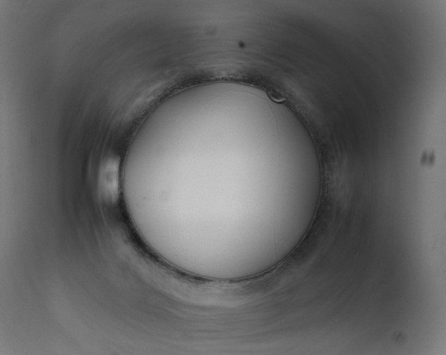 X0000111500028200907281302