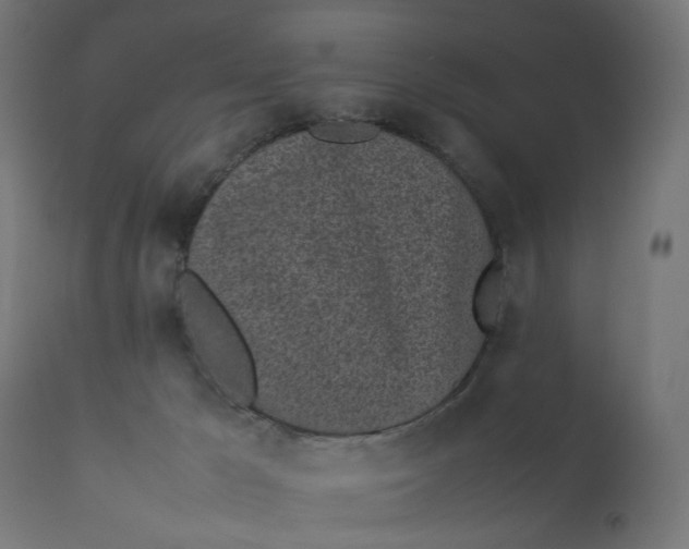 X0000111500029200907281302