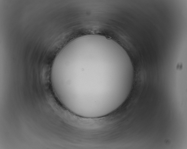 X0000111500030200907281302