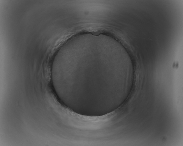 X0000111500031200907281302