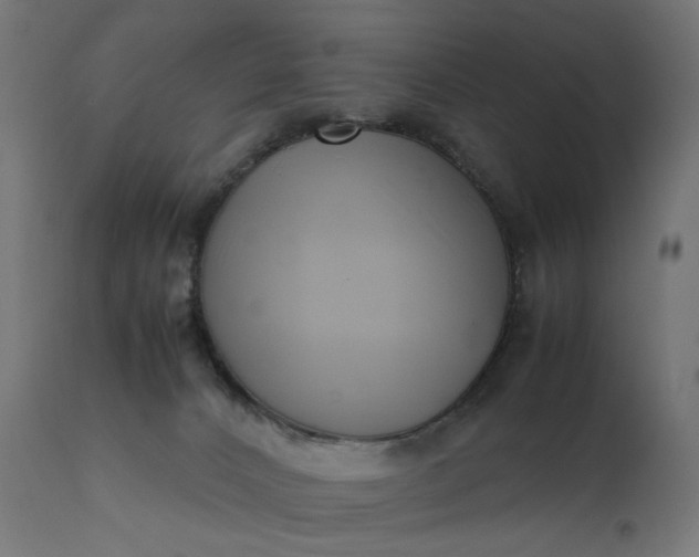 X0000111500032200907281302