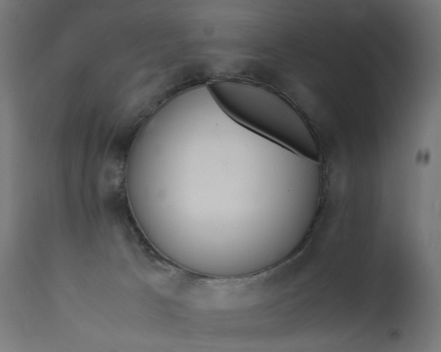 X0000111500033200907281302