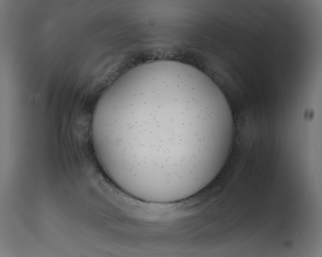 X0000111500034200907281302