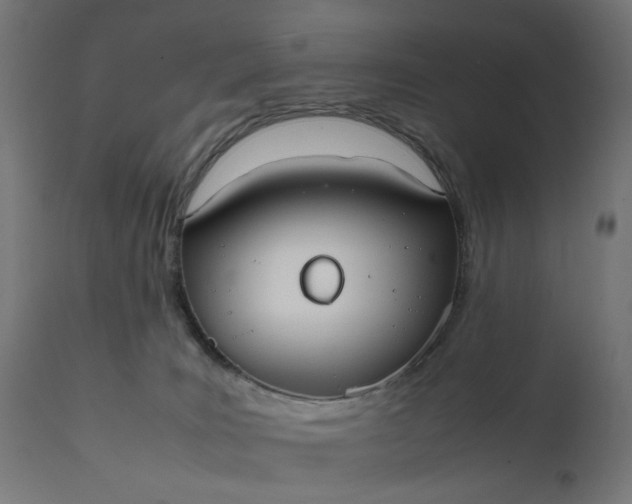 X0000111500035200907281302