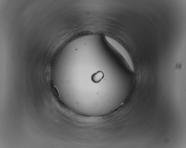 X0000111500036200907281302