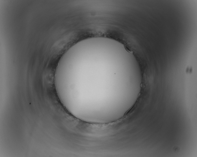 X0000111500037200907281302