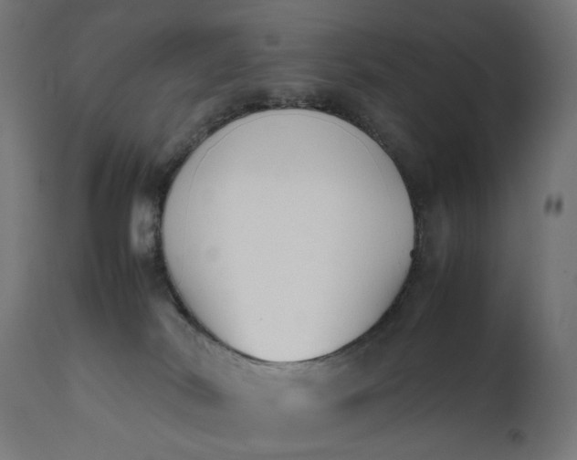 X0000111500038200907281302