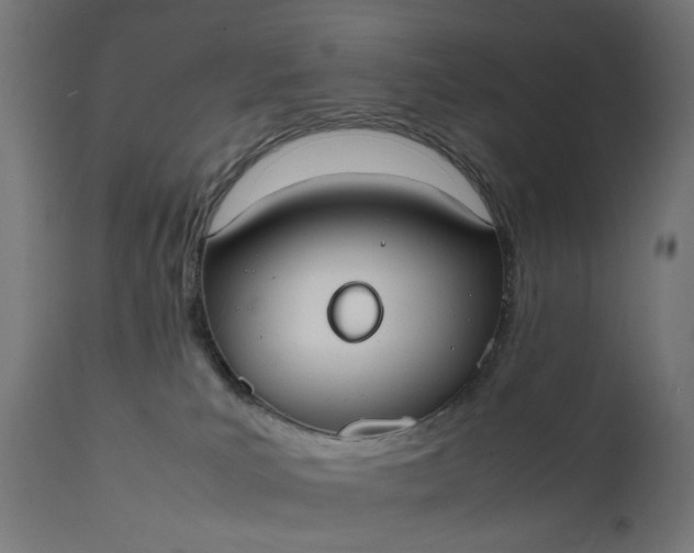 X0000111500039200907281302