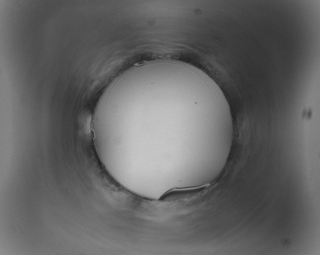 X0000111500041200907281302