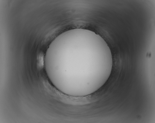 X0000111500042200907281302