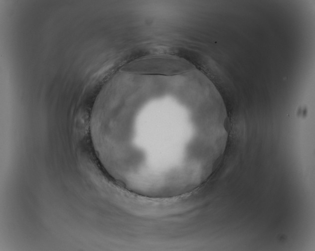 X0000111500043200907281302