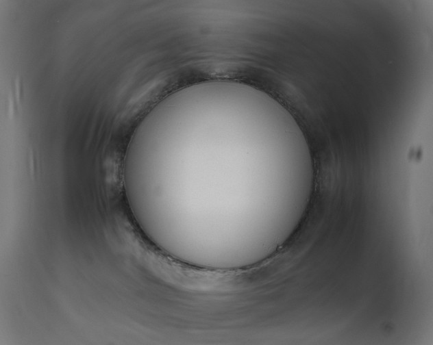 X0000111500044200907281301