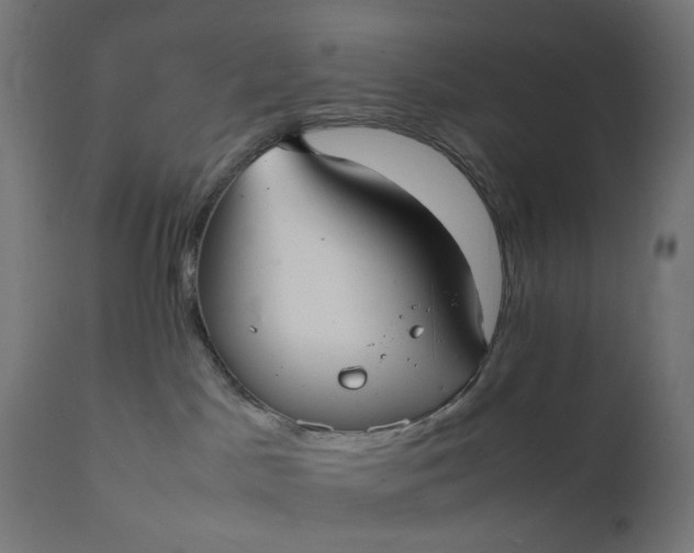 X0000111500045200907281301