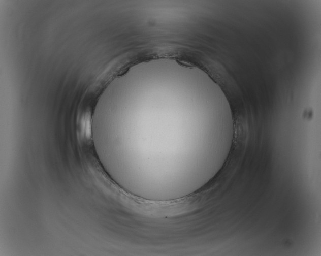 X0000111500046200907281301