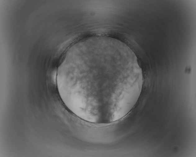 X0000111500047200907281301