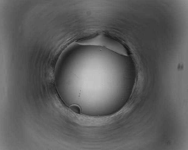 X0000111500048200907281301