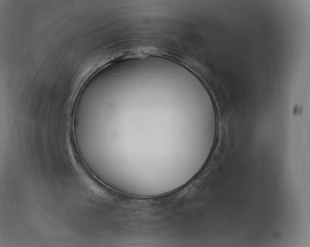 X0000111500049200907281301