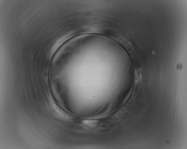 X0000111500051200907281301