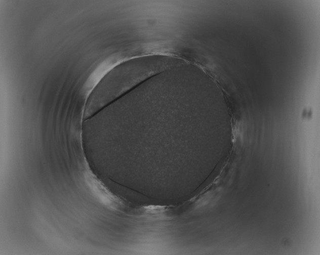 X0000111500052200907281301