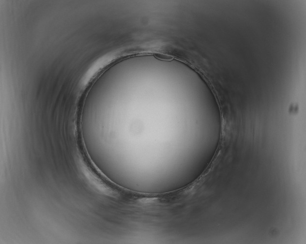 X0000111500054200907281301