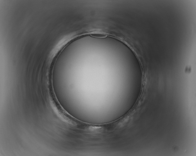 X0000111500055200907281301