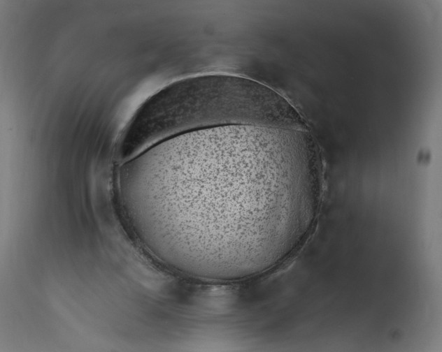 X0000111500056200907281301