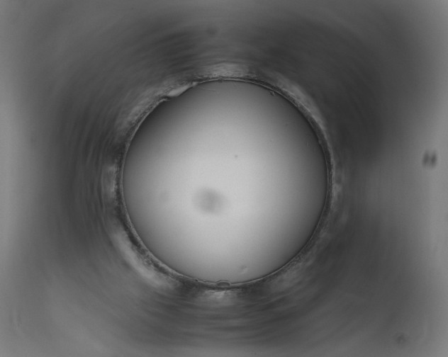 X0000111500057200907281301