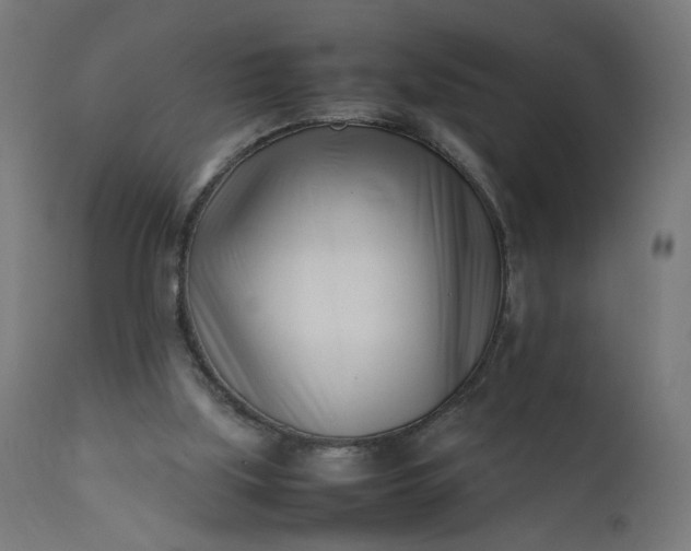 X0000111500059200907281301