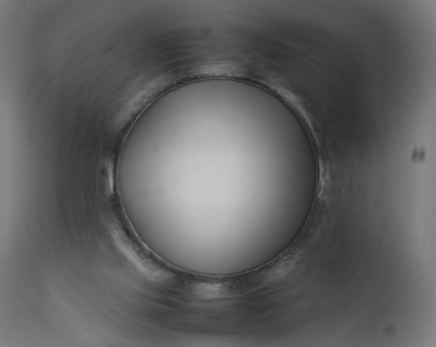 X0000111500061200907281301