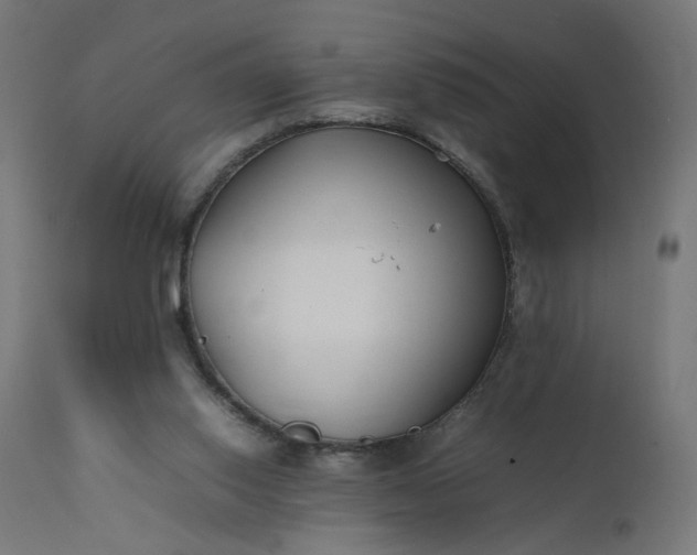 X0000111500062200907281301