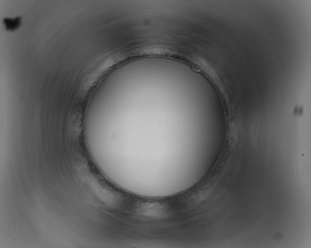 X0000111500063200907281301