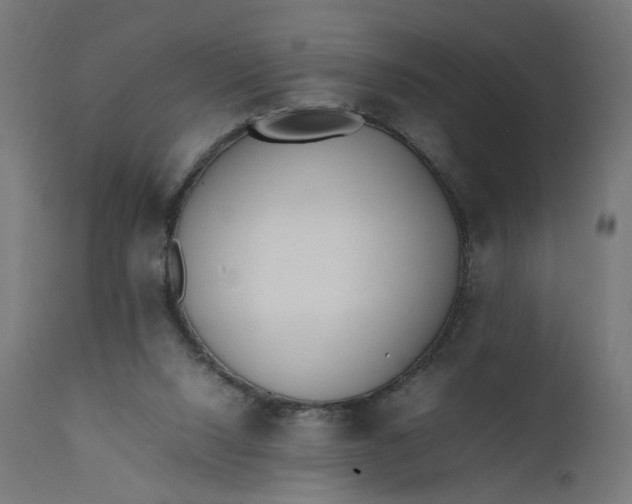 X0000111500064200907281301