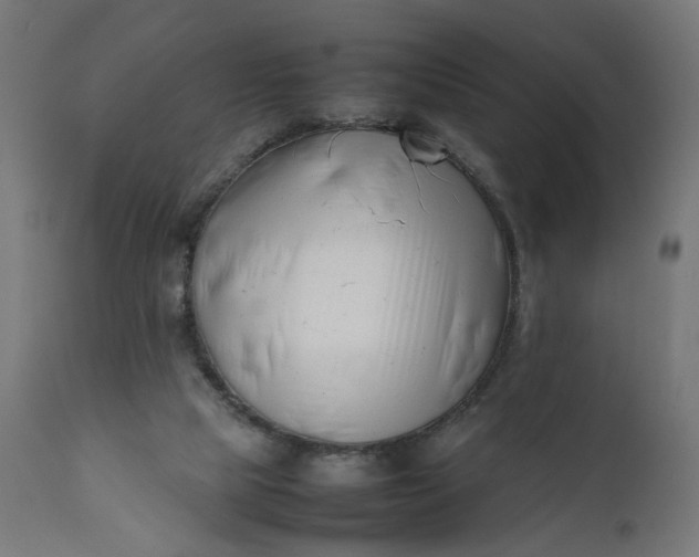 X0000111500065200907281301