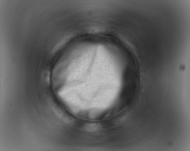 X0000111500067200907281301