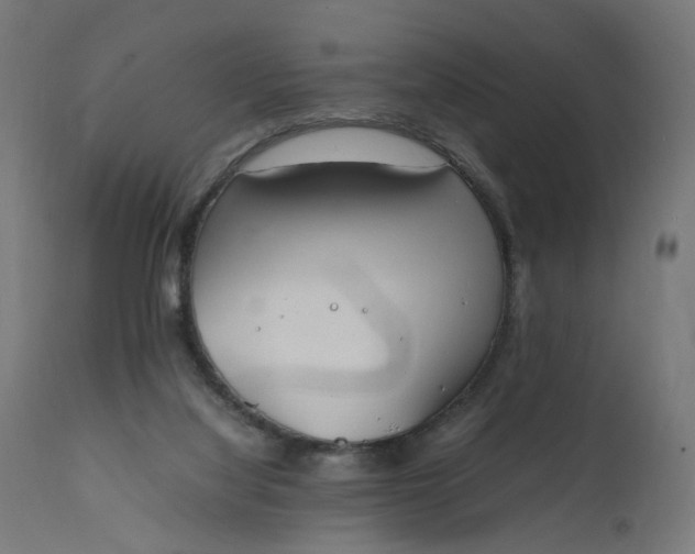 X0000111500068200907281301