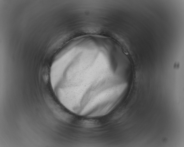 X0000111500069200907281301