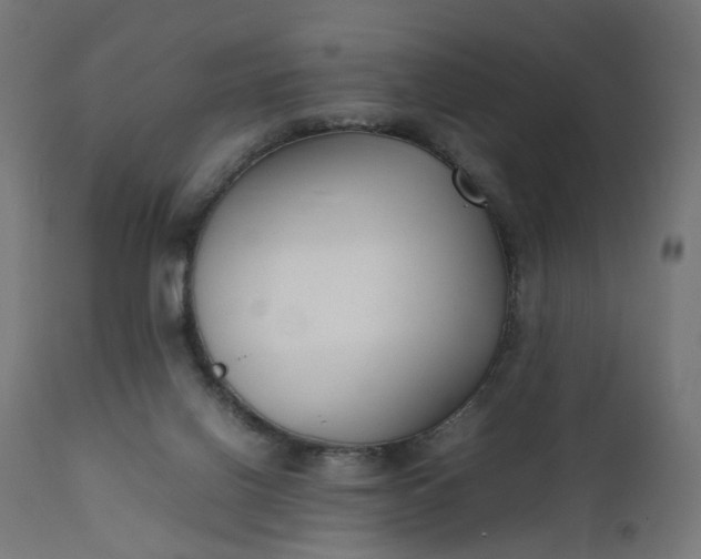 X0000111500070200907281301