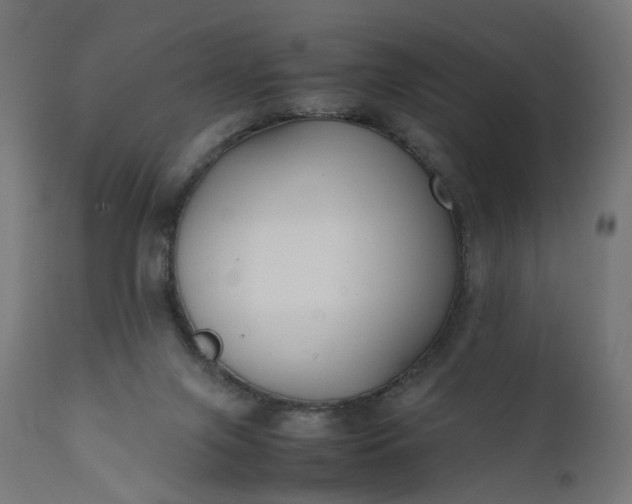 X0000111500071200907281301