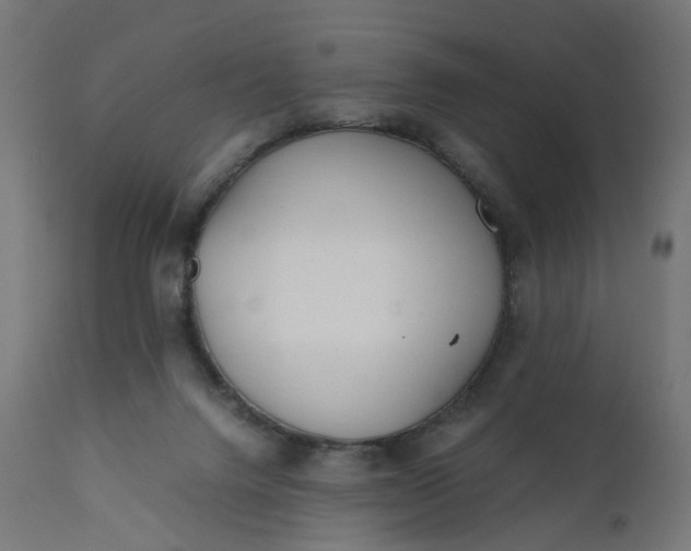 X0000111500072200907281301