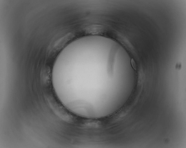 X0000111500073200907281301